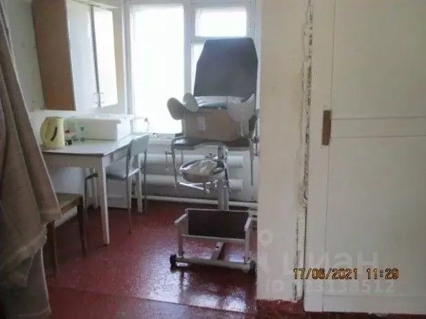 Помещение свободного назначения в Пермский край, Добрянский ... - Фото 2