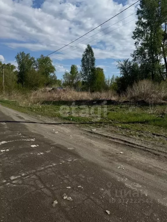 Участок в Алтайский край, Бийск пос. Сорокино, ул. Майская (15.0 сот.) - Фото 0