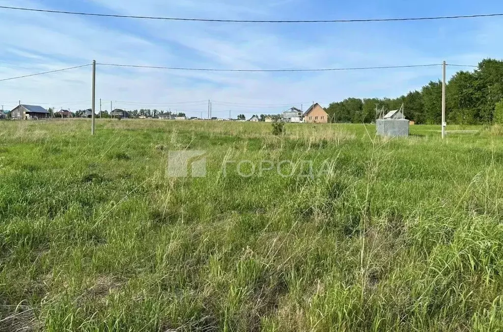 Участок в Алтайский край, Барнаул городской округ, пос. Центральный ... - Фото 1