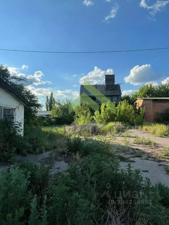 Производственное помещение в Воронежская область, Бутурлиновка ул. ... - Фото 1