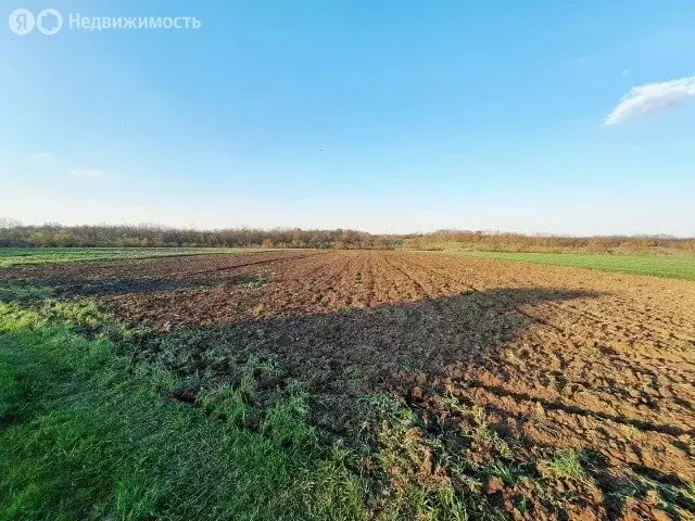 Участок в село Мелихово (50 м) - Фото 1