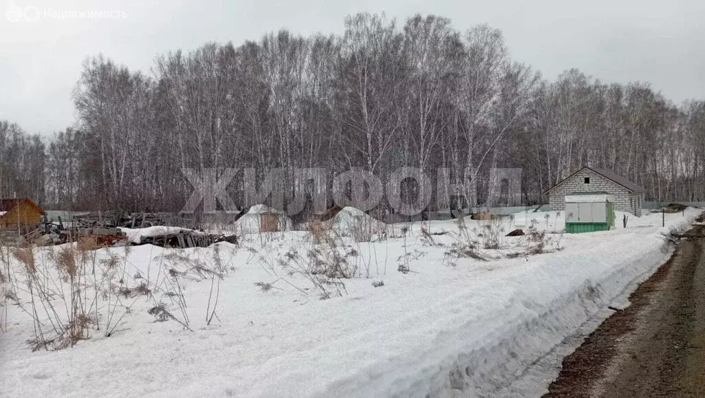 Участок в Каменский сельсовет, СНТ Иня-НАПО (10 м) - Фото 2