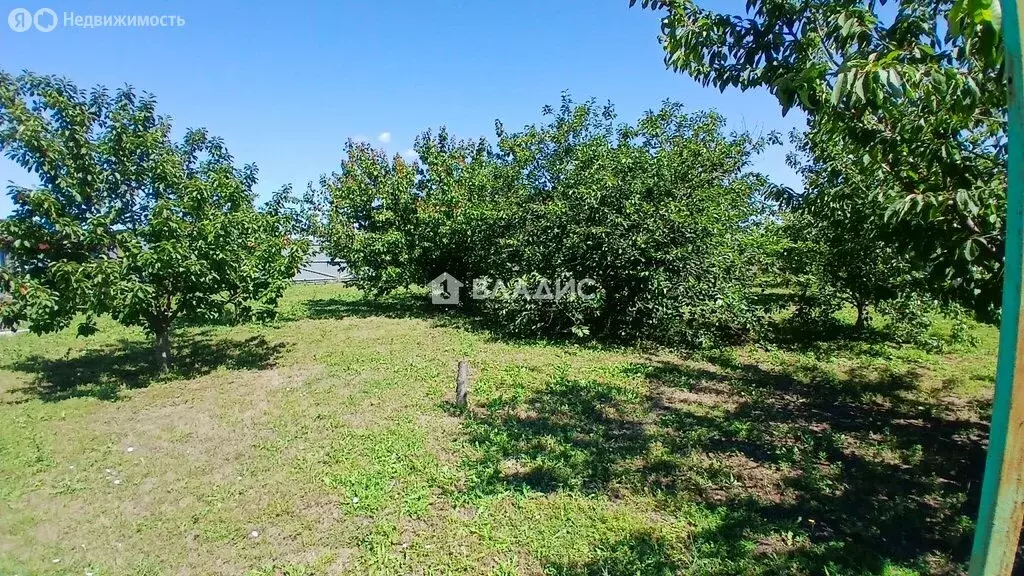 Участок в Ейск, СНТ Садовод (5 м) - Фото 1