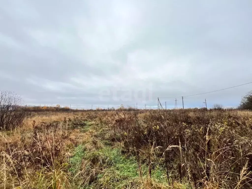 Участок в Вологодская область, Вологда ул. Лунная, 11 (10.0 сот.) - Фото 2