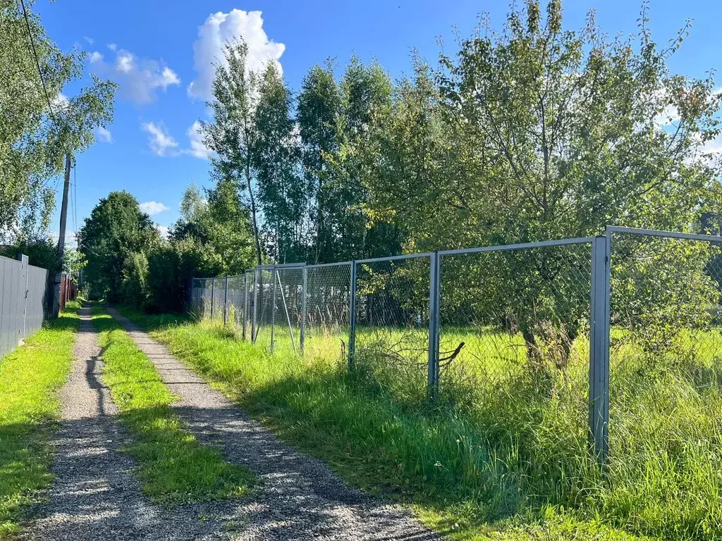 Участок в Владимирская область, Александровский муниципальный округ, ... - Фото 1