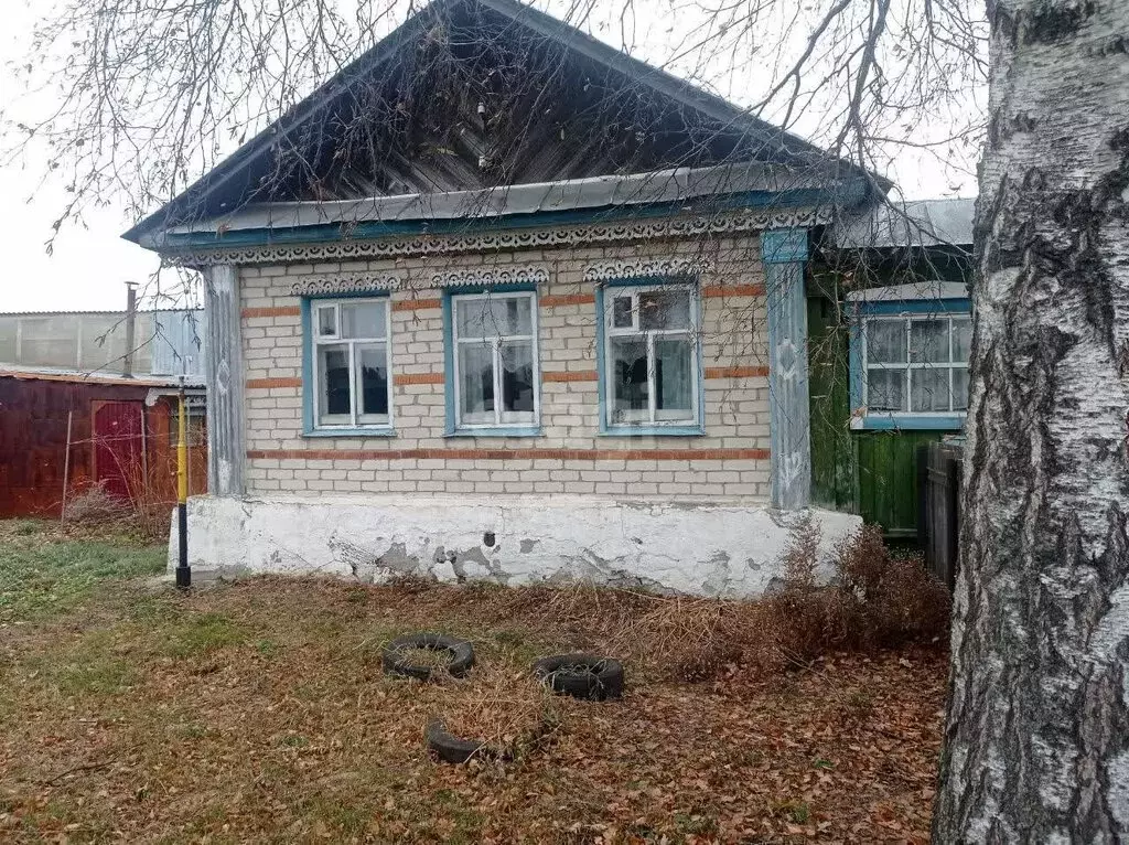 Дом в село Большой Куяш, улица Кирова (44.4 м) - Фото 0