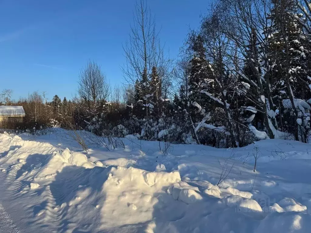 Участок в Московская область, Солнечногорск городской округ, Лисичкин ... - Фото 2