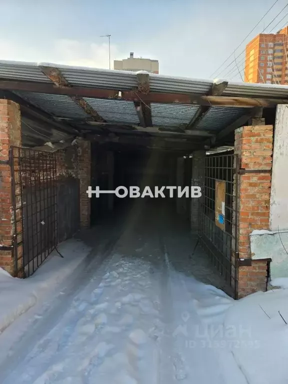 Помещение свободного назначения в Новосибирская область, Новосибирск ... - Фото 0