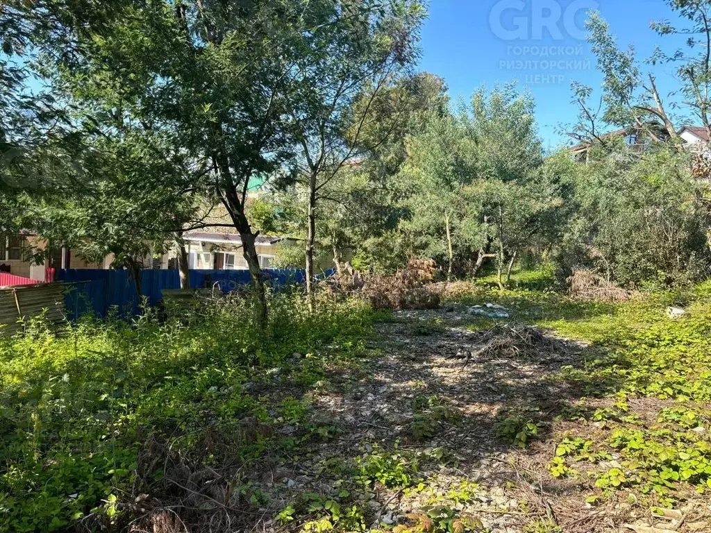 Участок в Краснодарский край, Сочи городской округ, с. Нижняя Шиловка ... - Фото 1