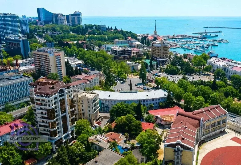 Помещение свободного назначения в Краснодарский край, Сочи Центральный ... - Фото 1