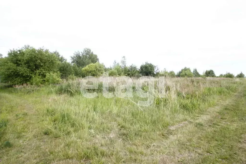 Участок в Заводоуковск, садовое общество Озерки (15 м) - Фото 1