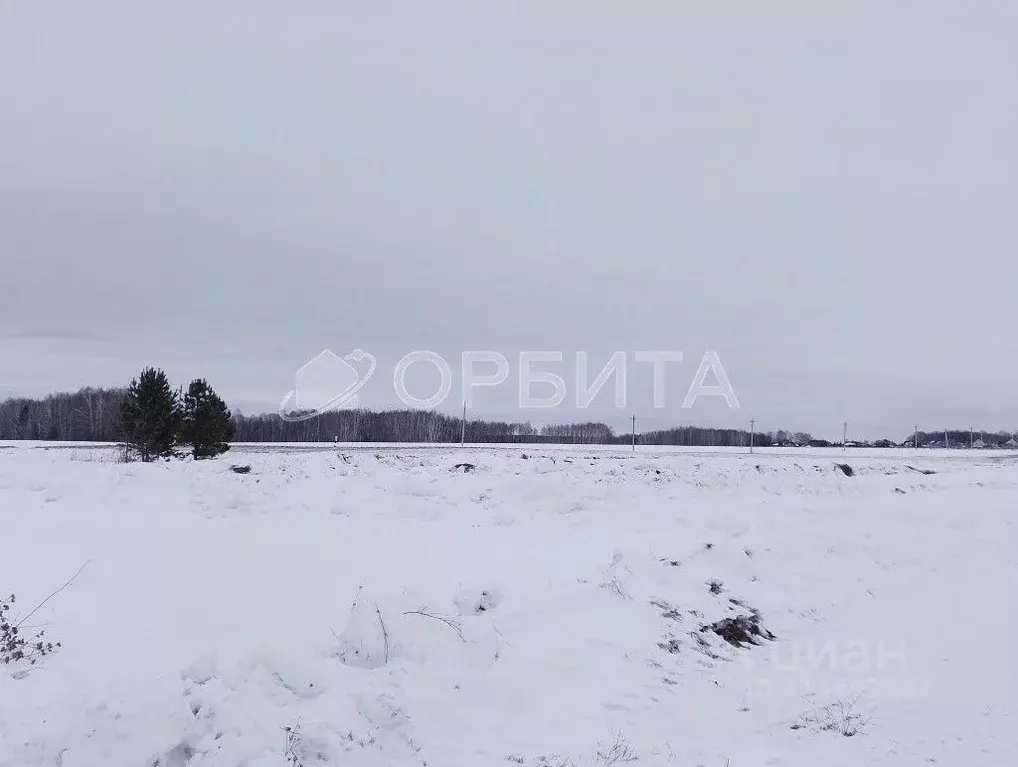 Участок в Тюменская область, Тюменский район, д. Насекина Центральная ... - Фото 1