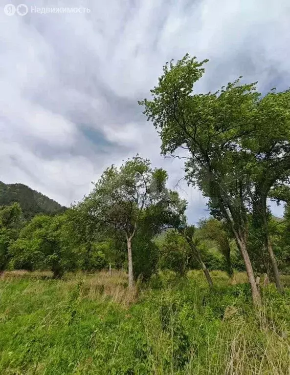 Участок в Чемальский район, СНТ Радуга Жизни (15 м) - Фото 2