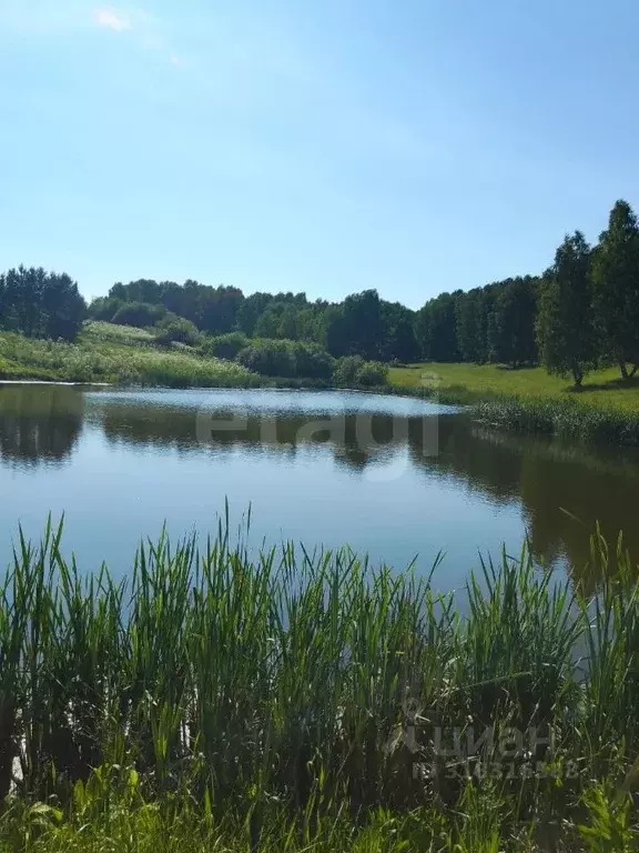 Участок в Красноярский край, Манский район, Камарчагский сельсовет, д. ... - Фото 0