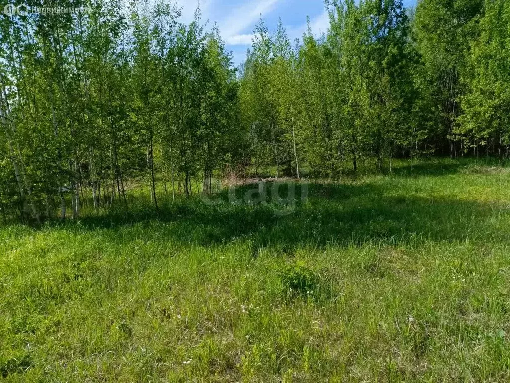 Участок в Новый, Зелёная улица (10 м) - Фото 1