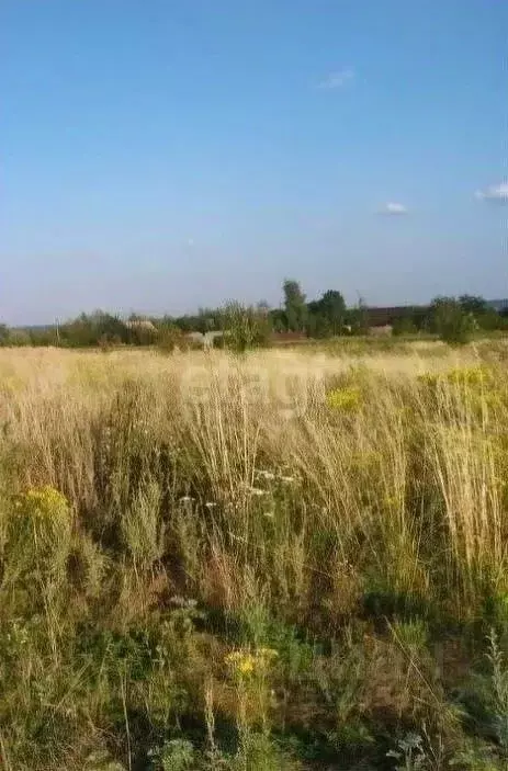 Участок в Липецкая область, Липецкий муниципальный округ, с. Ленино  ... - Фото 1