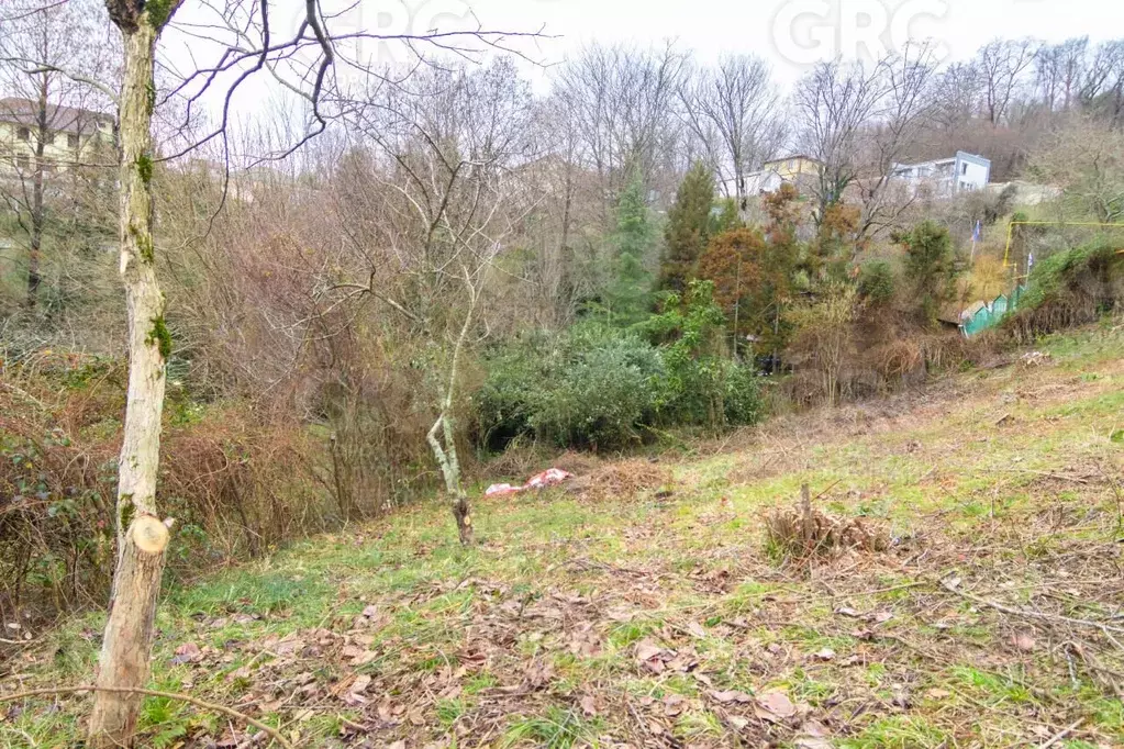 Участок в Краснодарский край, Сочи городской округ, с. Раздольное ул. ... - Фото 2