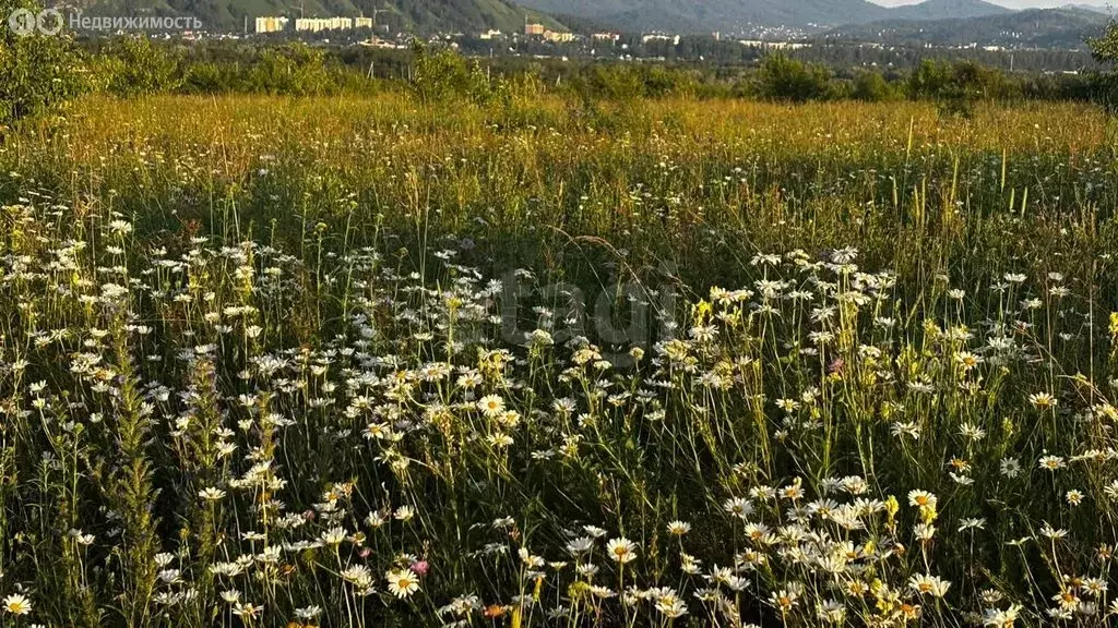 Участок в село Платово, улица Мира (11 м) - Фото 2