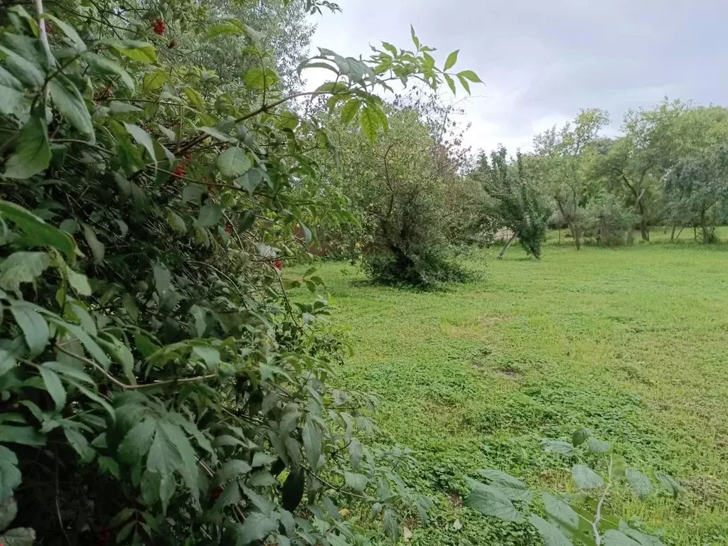 Участок в Московская область, Кашира городской округ, д. Баскачи  ... - Фото 1