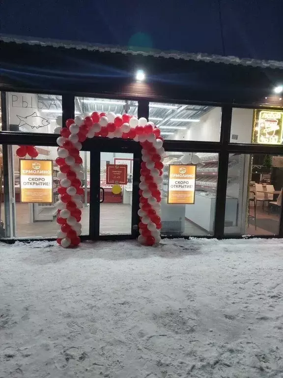 Торговая площадь в Санкт-Петербург ул. Пионерстроя, 8 (15 м) - Фото 1
