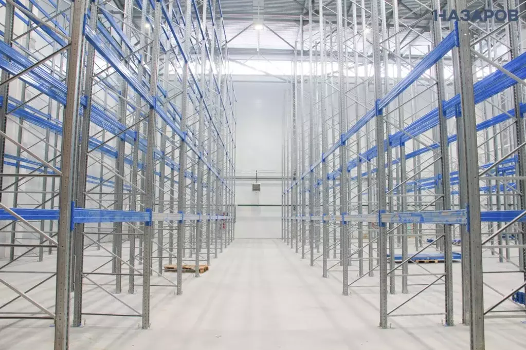 Склад в Новосибирская область, Новосибирск ул. Петухова, 6В (1793 м) - Фото 1