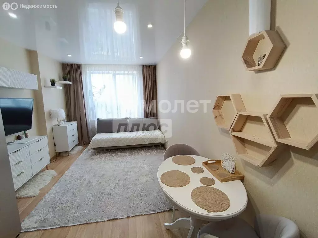 2-комнатная квартира: деревня Анкудиновка, Русская улица, 4 (37.6 м) - Фото 0