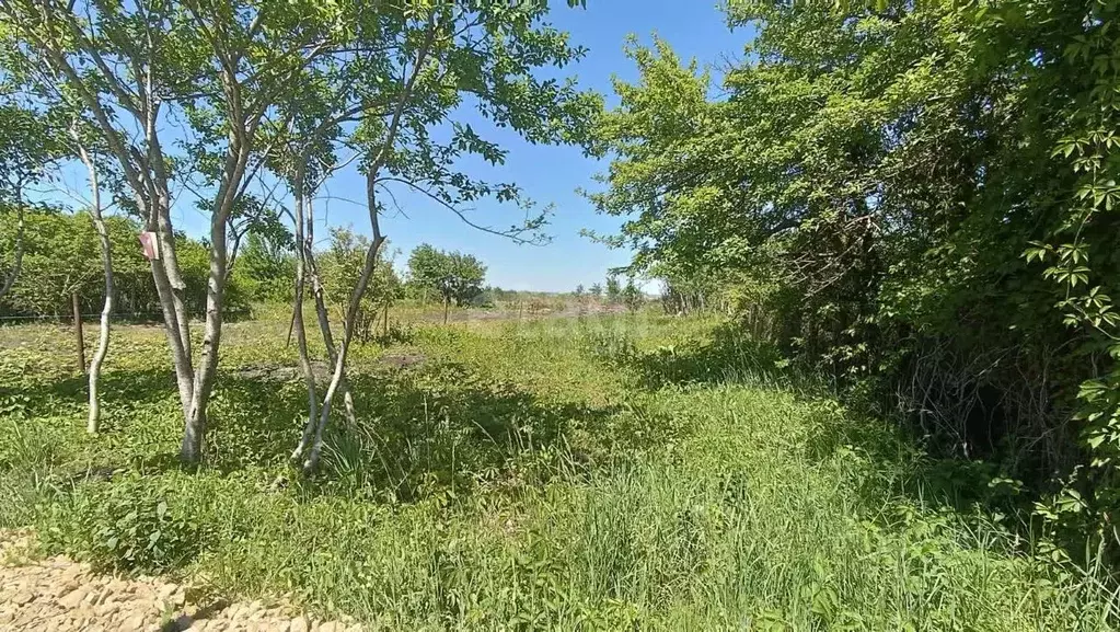 Участок в Ставропольский край, Ставрополь Химреактив садовое ... - Фото 1