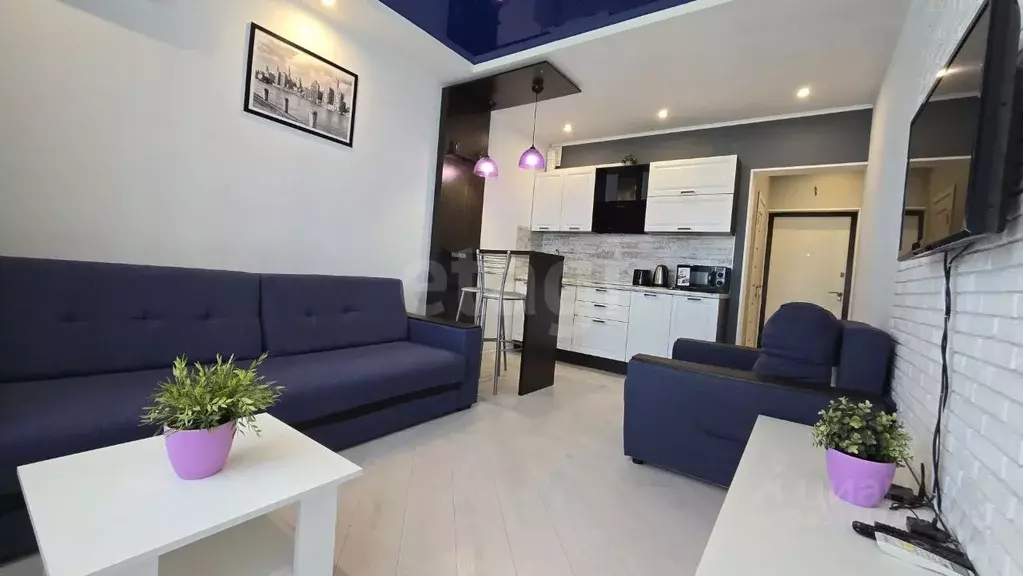 Студия Краснодарский край, Анапа Анапское ш., 24к2 (24.0 м) - Фото 1