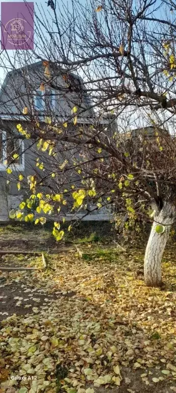 Дом в Крым, Сакский район, Суворовское с/пос, Чайка-С потребительский ... - Фото 1