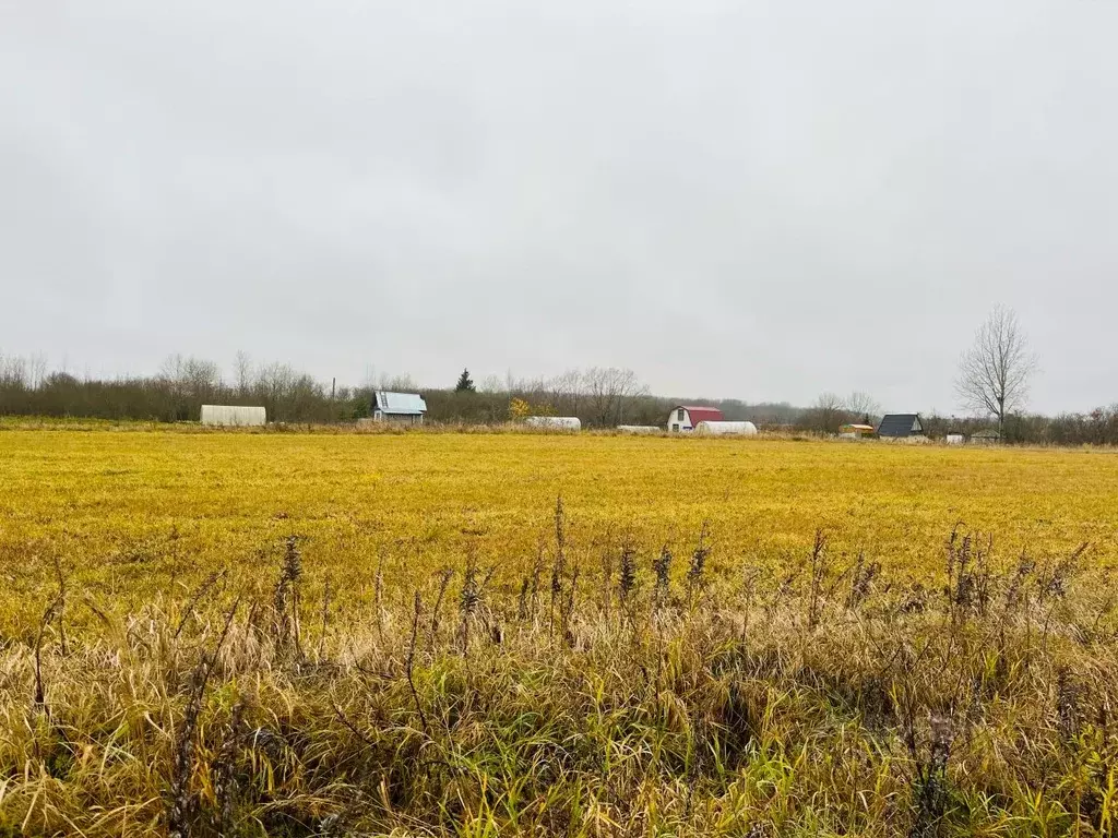 Участок в Новгородская область, Новгородский район, Борковское с/пос, ... - Фото 2