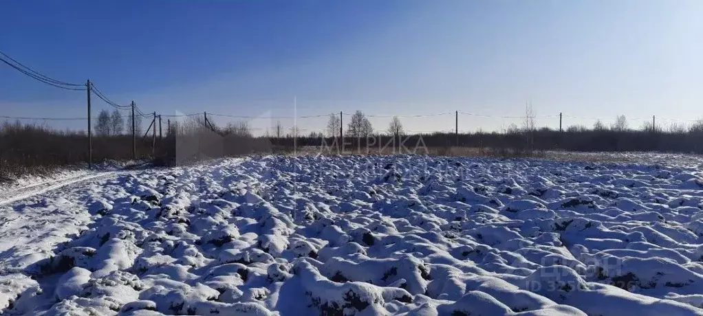 Участок в Тюменская область, Тюмень Большое Царево-1 СНТ, ул. Садовая ... - Фото 1