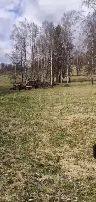 Участок в Алтай, Чемальский район, Чепошское с/пос, Сибирь тер.  ... - Фото 1