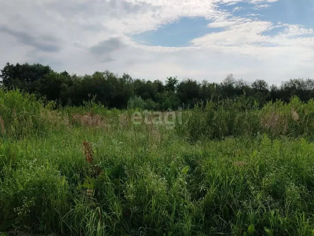 участок в нижегородская область, ковернинский муниципальный округ, д. . - Фото 1