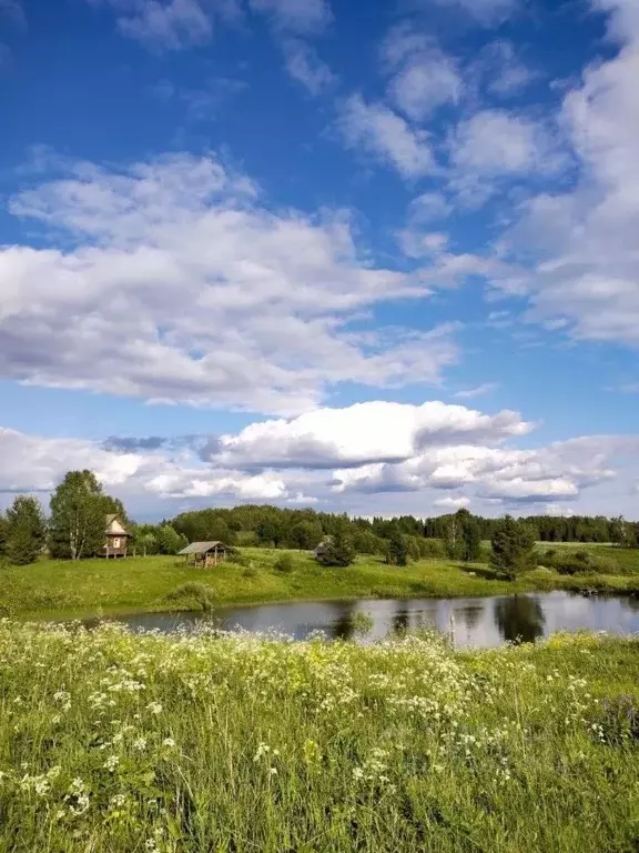Участок в Пермский край, Ильинский городской округ, д. Гувашер  (5.0 ... - Фото 0