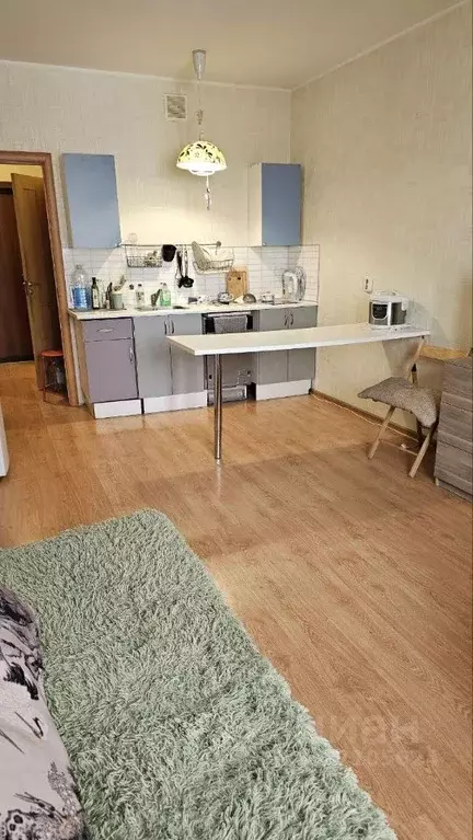 Студия Московская область, Реутов Юбилейный просп., 72 (30.0 м) - Фото 2