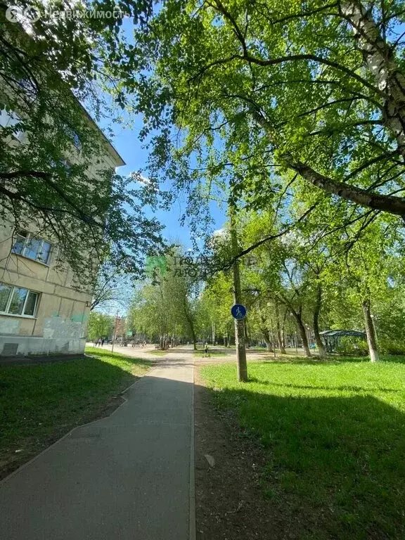 3-комнатная квартира: Ижевск, Школьная улица, 46 (58.6 м) - Фото 1