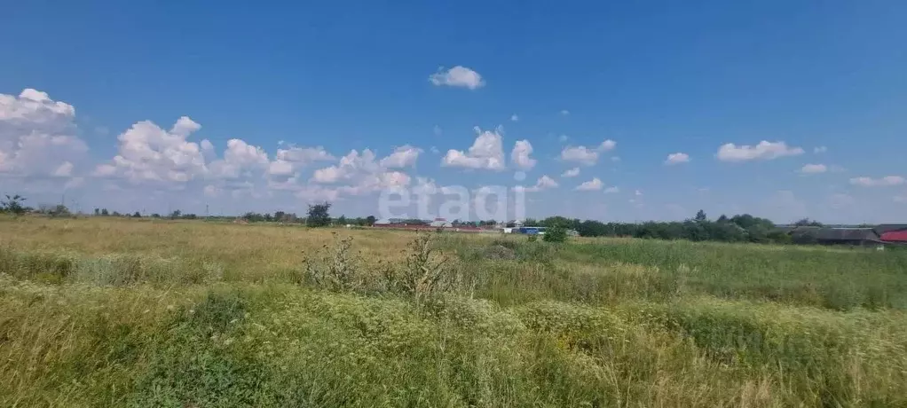 Участок в Воронежская область, Борисоглебский городской округ, с. ... - Фото 2