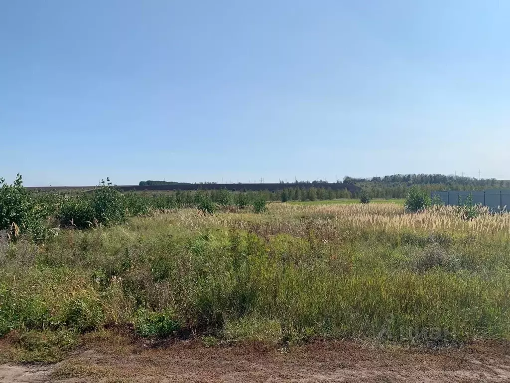 Участок в Липецкая область, Липецкий муниципальный округ, д. Ясная ... - Фото 2