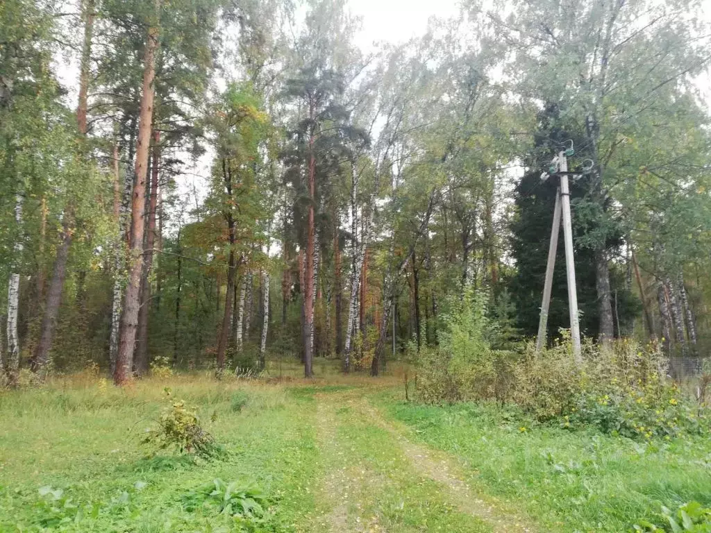 Купить Дом В Зеленом Городе Нижегородской Области