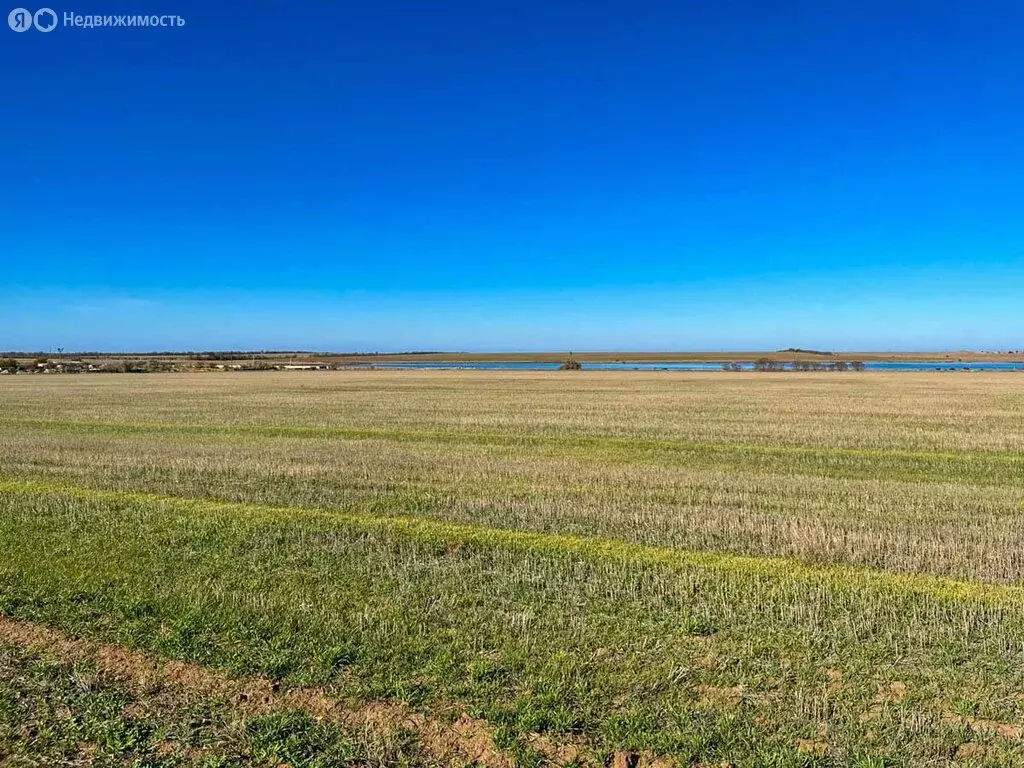 Участок в Республика Крым, посёлок городского типа Черноморское ... - Фото 1