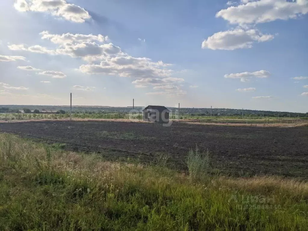 Участок в Ростовская область, Неклиновский район, с. Приморка Верхняя ... - Фото 1