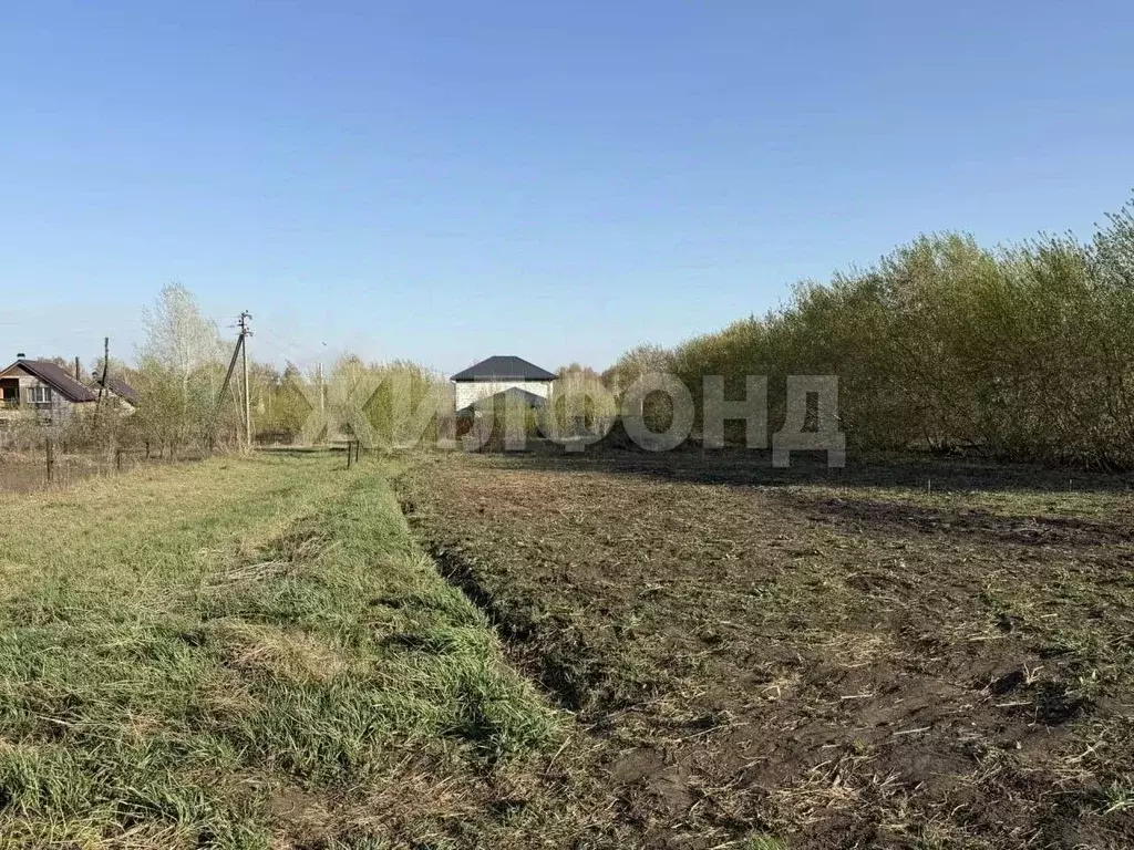 Участок в Новосибирская область, Ордынский район, с. Красный Яр ... - Фото 1