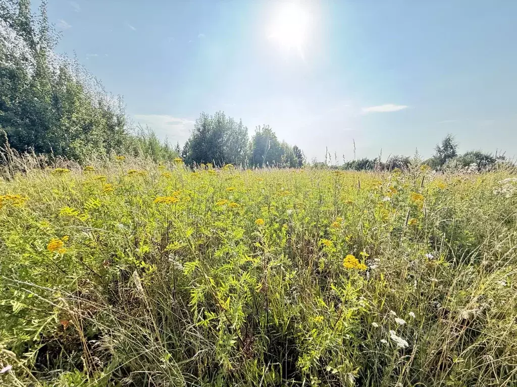Участок в Московская область, Кашира городской округ, д. Тимирязево  ... - Фото 1