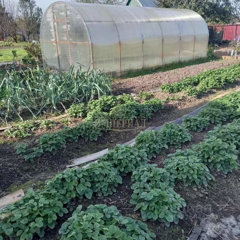 Дом в Марий Эл, Йошкар-Ола Коммунальник СНТ, 16/27 (30 м) - Фото 2