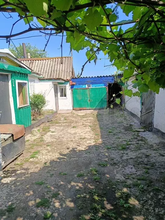 Дом 66,3 м на участке 25 сот. - Фото 0