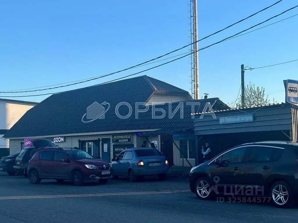 Участок в Тюменская область, Тюмень Садовое товарищество Липовый ... - Фото 1