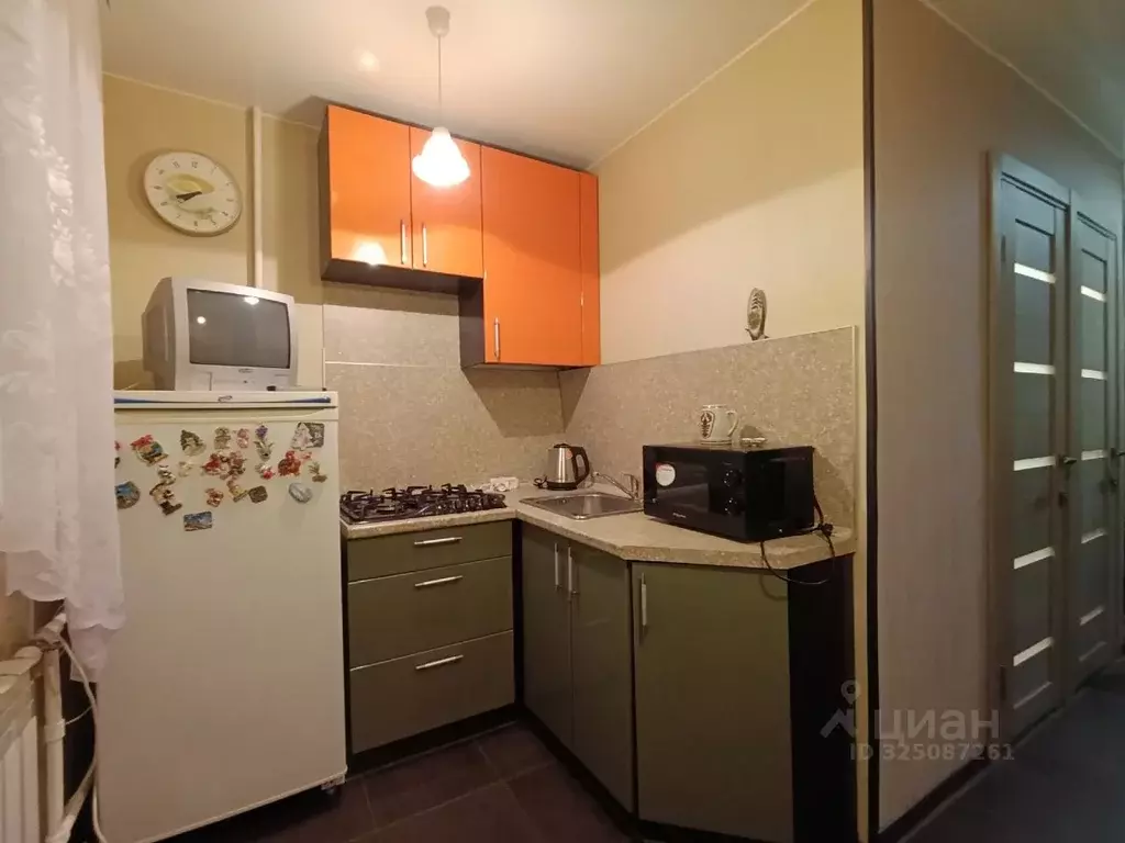 1-к кв. Ленинградская область, Гатчинский муниципальный округ, д. ... - Фото 1