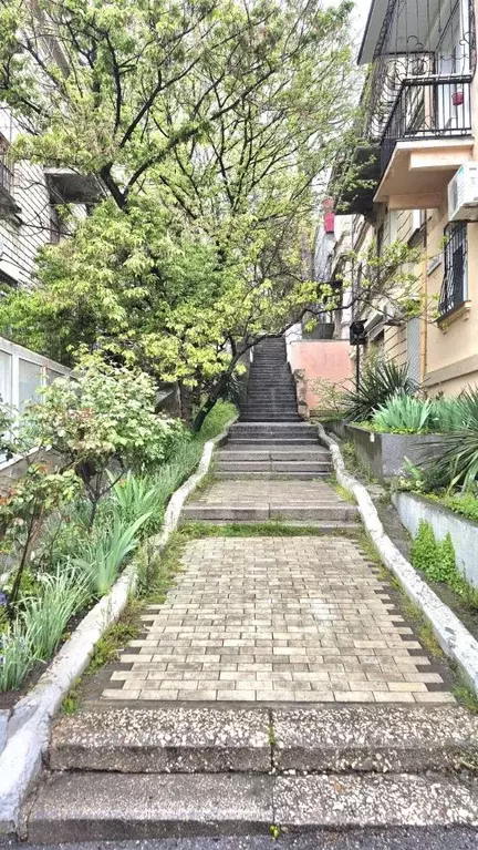 3-к кв. Севастополь ул. Дроздова, 3 (80.0 м) - Фото 2