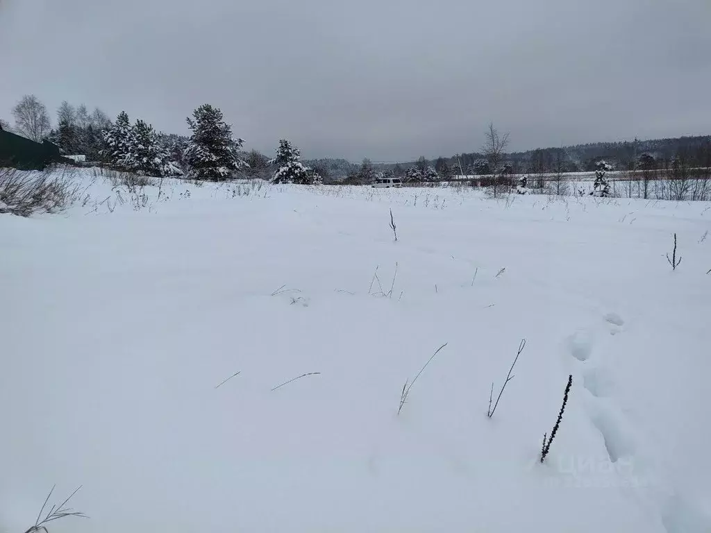Участок в Московская область, Лотошино муниципальный округ, д. ... - Фото 1