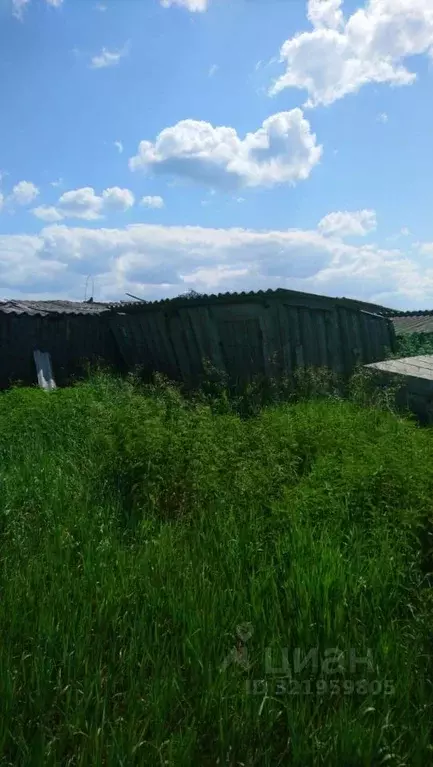 Помещение свободного назначения в Курганская область, Кетовский ... - Фото 1